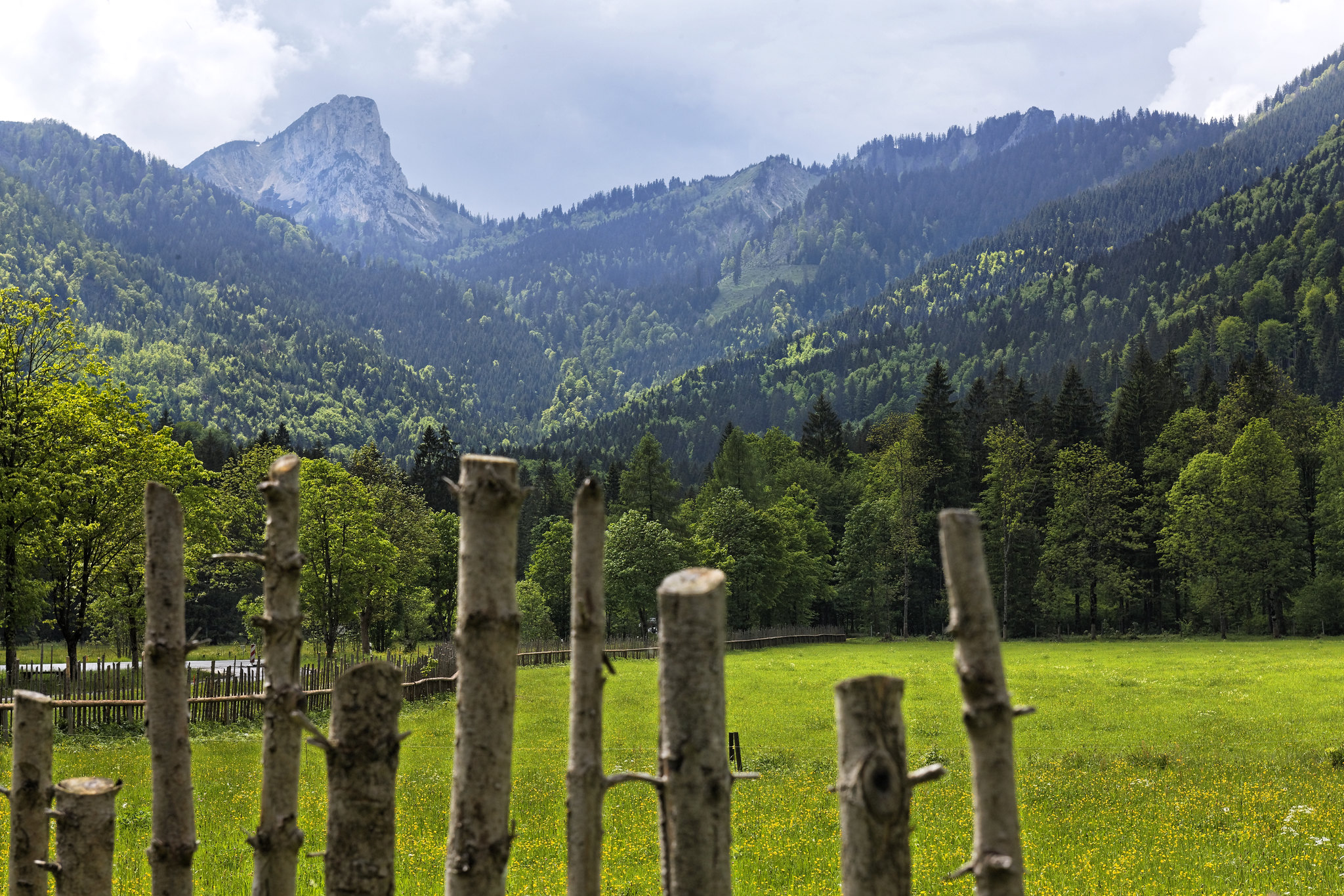 Chiemgau landscape near Ruhpolding